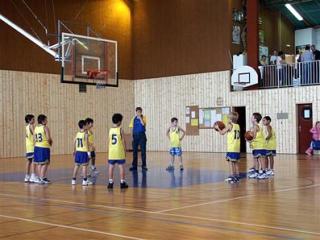 Les jeunes pousses sur le parquet-3