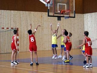 Les jeunes pousses sur le parquet-4